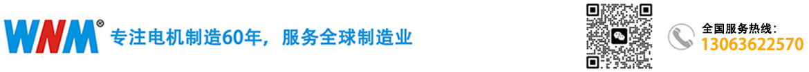 安徽皖南电机
